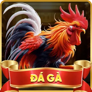 Biểu tượng bảo mật cao cấp của hy88 bet