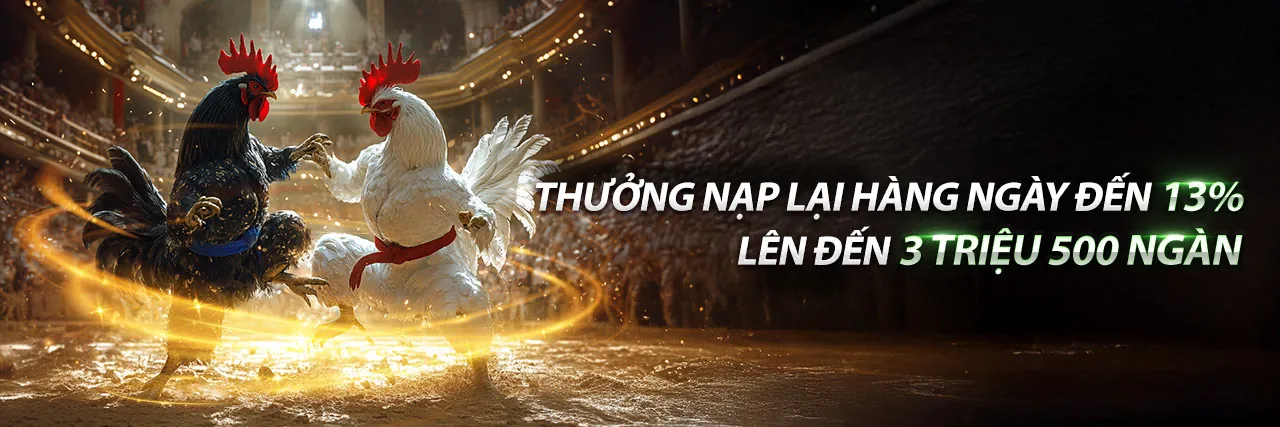 Đá Gà Trực Tuyến hy88 bet - Các chiến kê dũng mãnh đang giao đấu