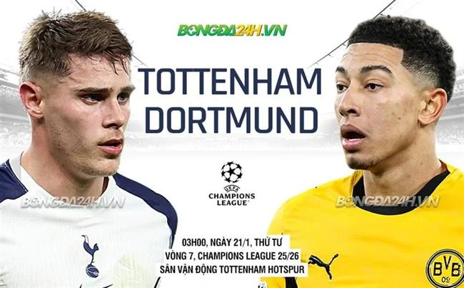 Hướng dẫn chơi Đá gà hy88 bet